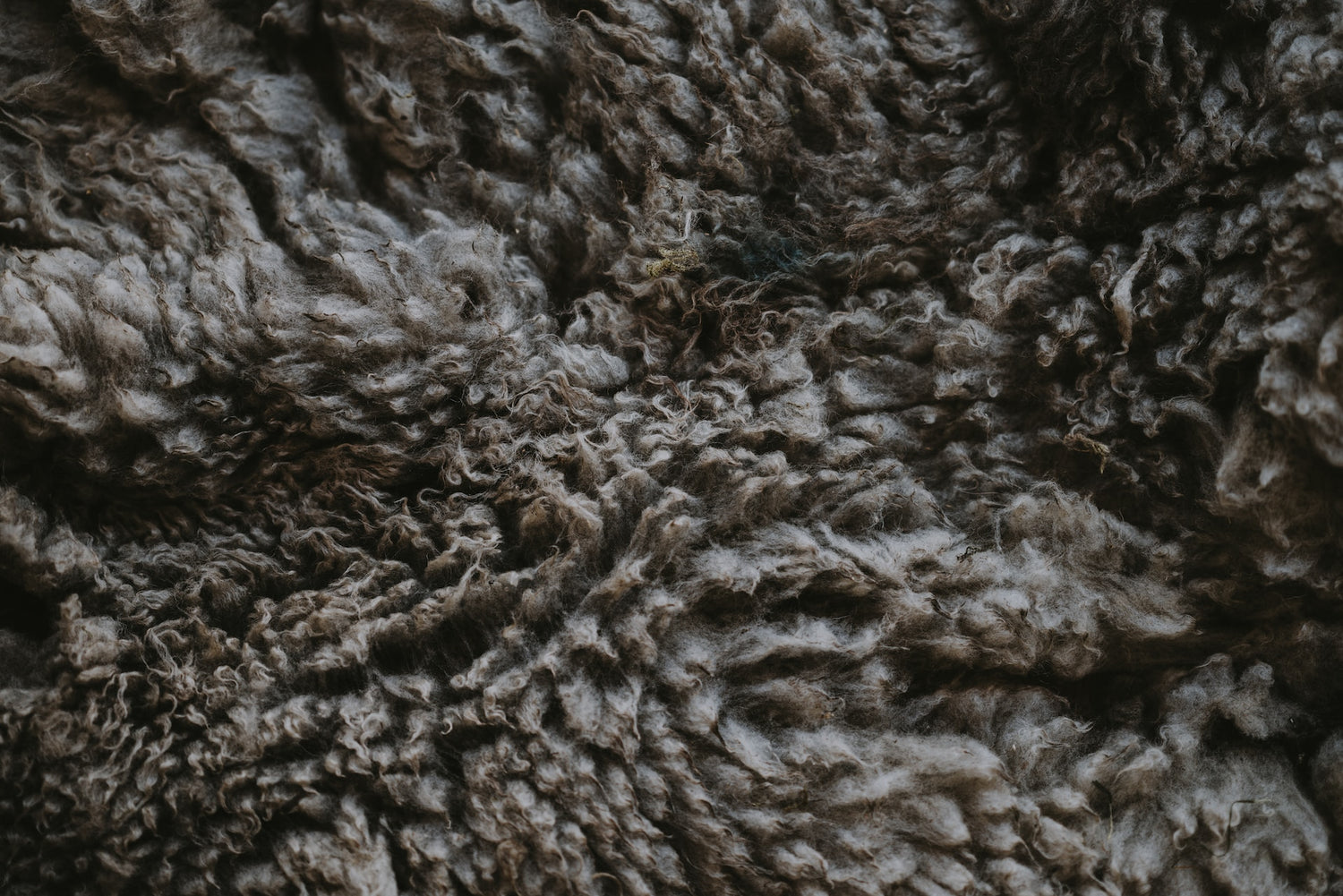 the benefits of merino wool